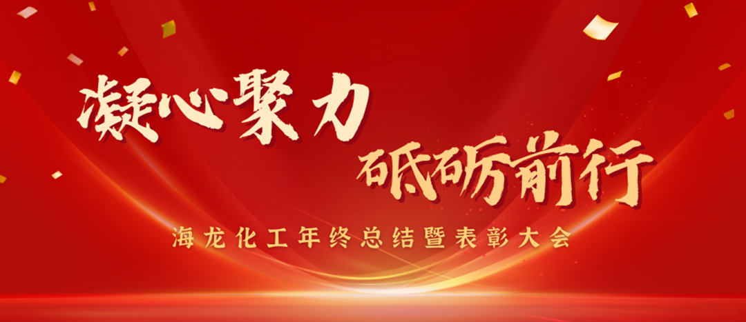 表彰 | 凝心聚力，砥礪前行，海龍化工年終總結(jié)暨表彰大會(huì)圓滿舉行
