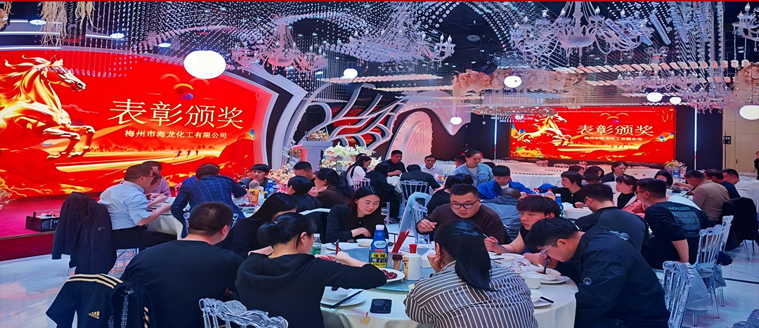騏驥開道，奮進(jìn)新篇 | 海龍化工2025年終工作總結(jié)表彰暨團(tuán)年晚宴圓滿落幕